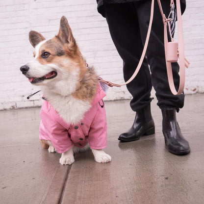 Foba Paws｜Pinky Power Trendy Raincoat for Pet - Foba Paws: Terrier Haven