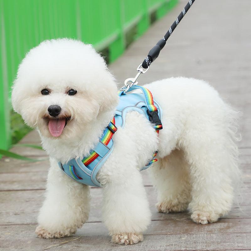 Gay pride dog harness hotsell