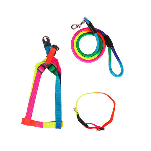 Foba Paws｜Rainbow-Q-Dog Cat Chest Shoulder Harness Leash - Foba Paws: Terrier Haven