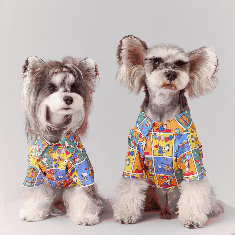 Foba Paws | Rainbow Q-Hip-Hop Summer Cartoon Cotton Shirt for Small Terrier Breeds - Foba Paws: Terrier Haven