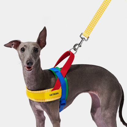 Foba Paws | Rainbow Q-Pet anti-slip grip leash set - Foba Paws: Terrier Haven