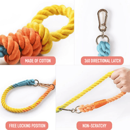 Foba Paws | Rainbow Q-Running Rainbow Dog leash - Foba Paws: Terrier Haven