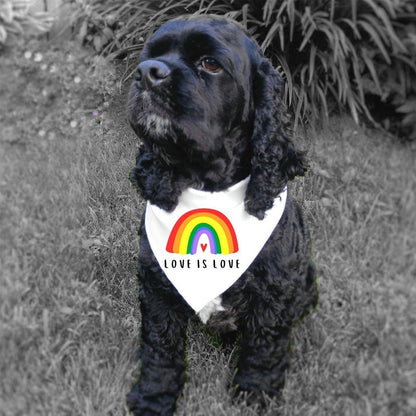 Foba Paws | Rainbow Q Pet Lip Scarf Pride Month Festival Headband - Foba Paws: Terrier Haven