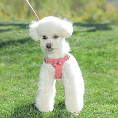 Foba Paws | Tank top bow Harness & Leads - Foba Paws: Terrier Haven