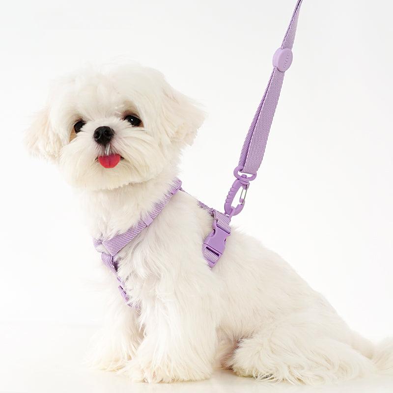 Foba Paws | Macaroon Colour H-Shape Pet Chest Leash - Foba Paws: Terrier Haven