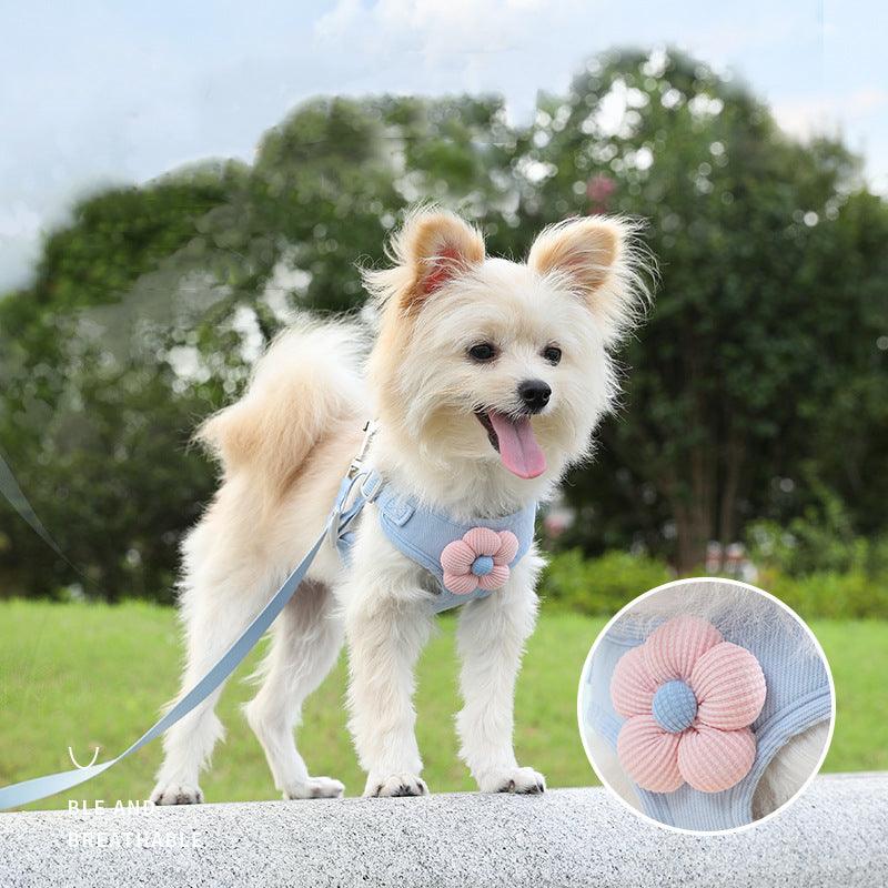 Foba Paws | Flower Terrier Dog Harness - Foba Paws: Terrier Haven