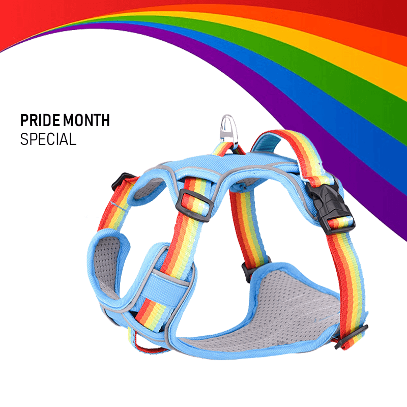 Foba Paws | Pride Month Special, Rainbow Dog Harness - Foba Paws: Terrier Haven