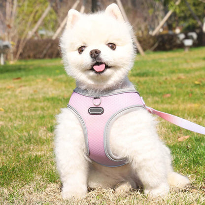 Foba Paws｜Rainbow Q- Rainbow Barbie Dog Chest Protection Vest Harness Leash - Foba Paws: Terrier Haven