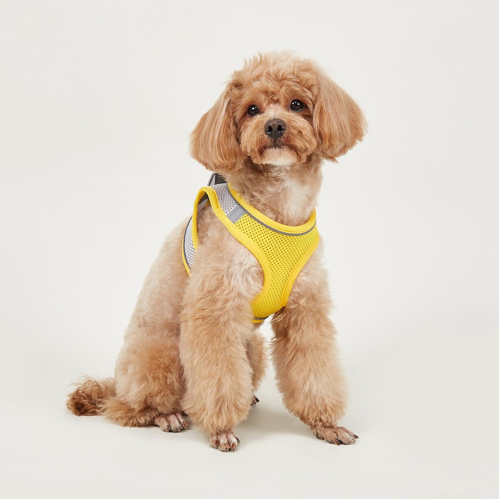 Foba Paws | Terrier Puppy Mesh Harness for breathability - Foba Paws: Terrier Haven