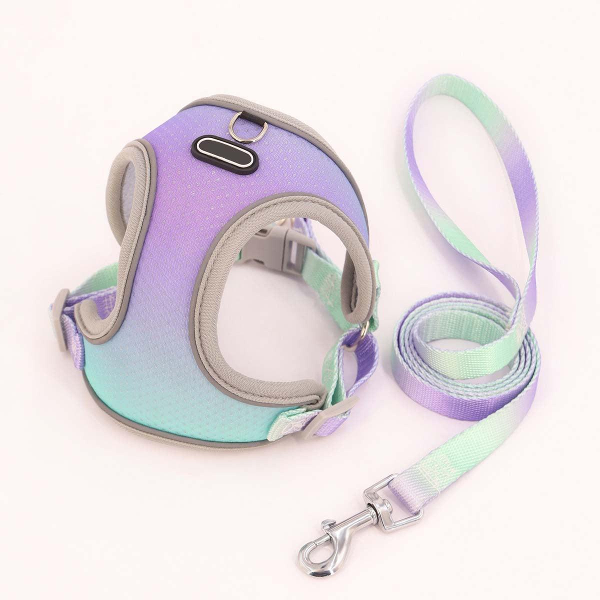 Foba Paws｜Rainbow Q- Rainbow Barbie Dog Chest Protection Vest Harness Leash - Foba Paws: Terrier Haven