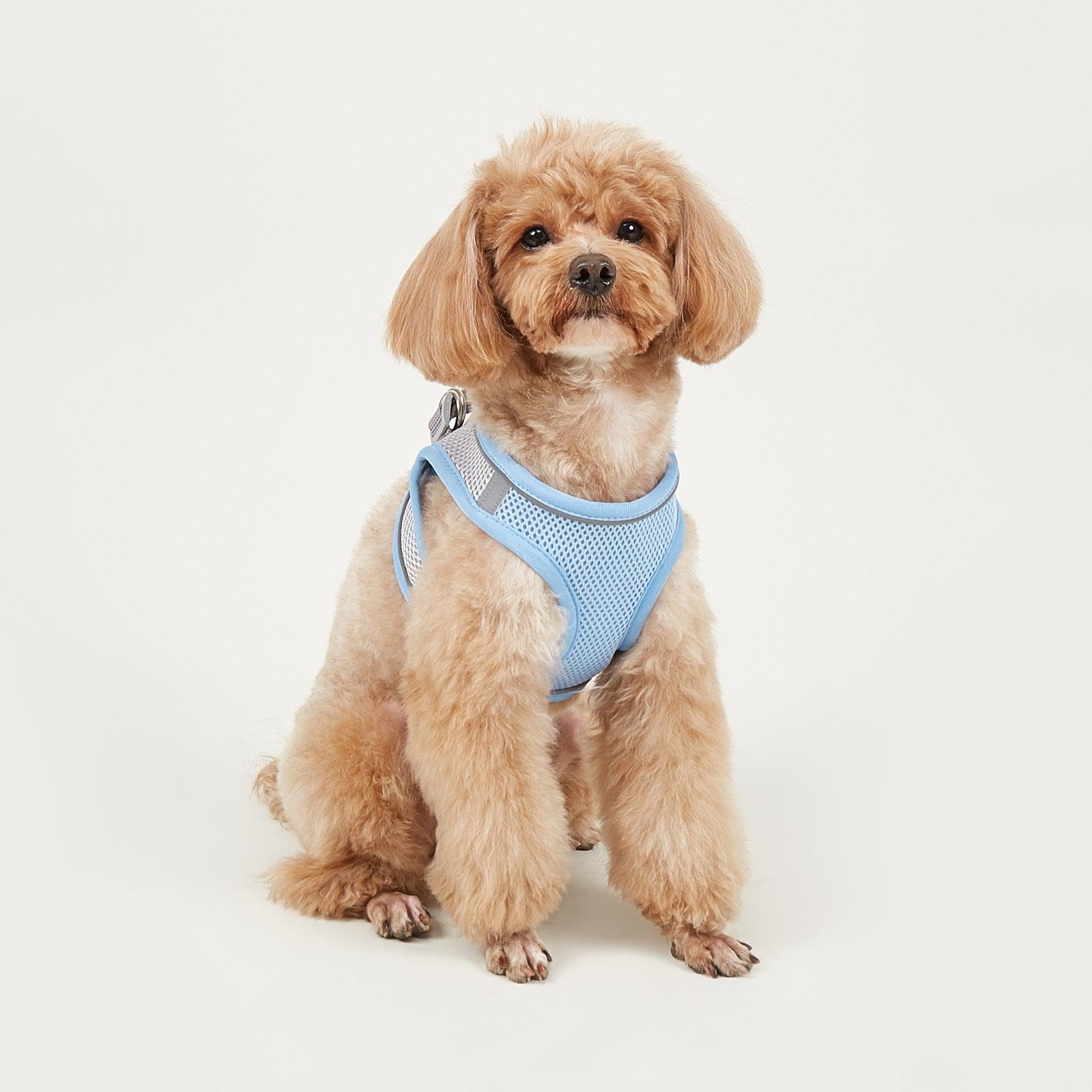 Foba Paws | Terrier Puppy Mesh Harness for breathability - Foba Paws: Terrier Haven