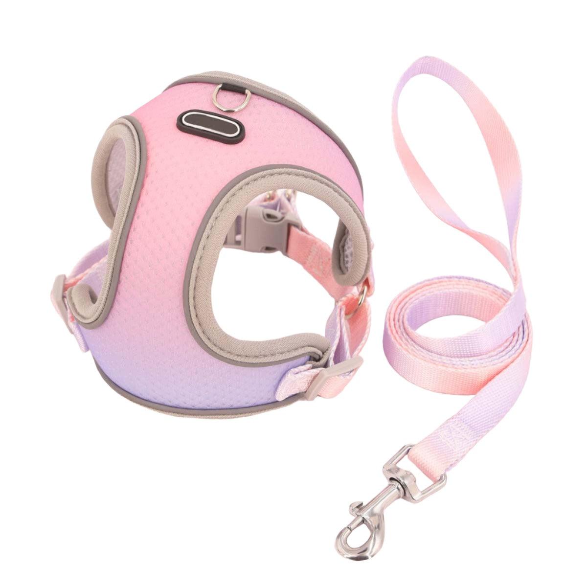 Foba Paws｜Rainbow Q- Rainbow Barbie Dog Chest Protection Vest Harness Leash - Foba Paws: Terrier Haven