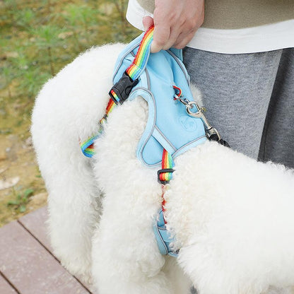 Foba Paws | Pride Month Special, Rainbow Dog Harness - Foba Paws: Terrier Haven