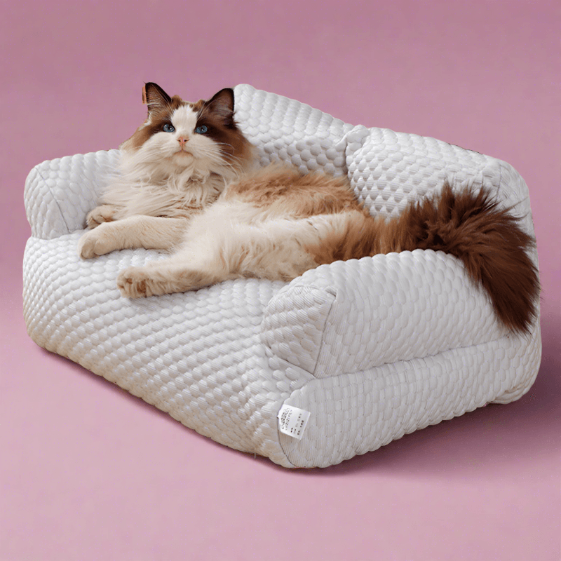 Foba Paws｜Summer Removable & Washable Pet Sofa Bed - Foba Paws: Terrier Haven