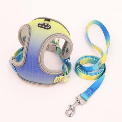 Foba Paws｜Rainbow Q- Rainbow Barbie Dog Chest Protection Vest Harness Leash - Foba Paws: Terrier Haven