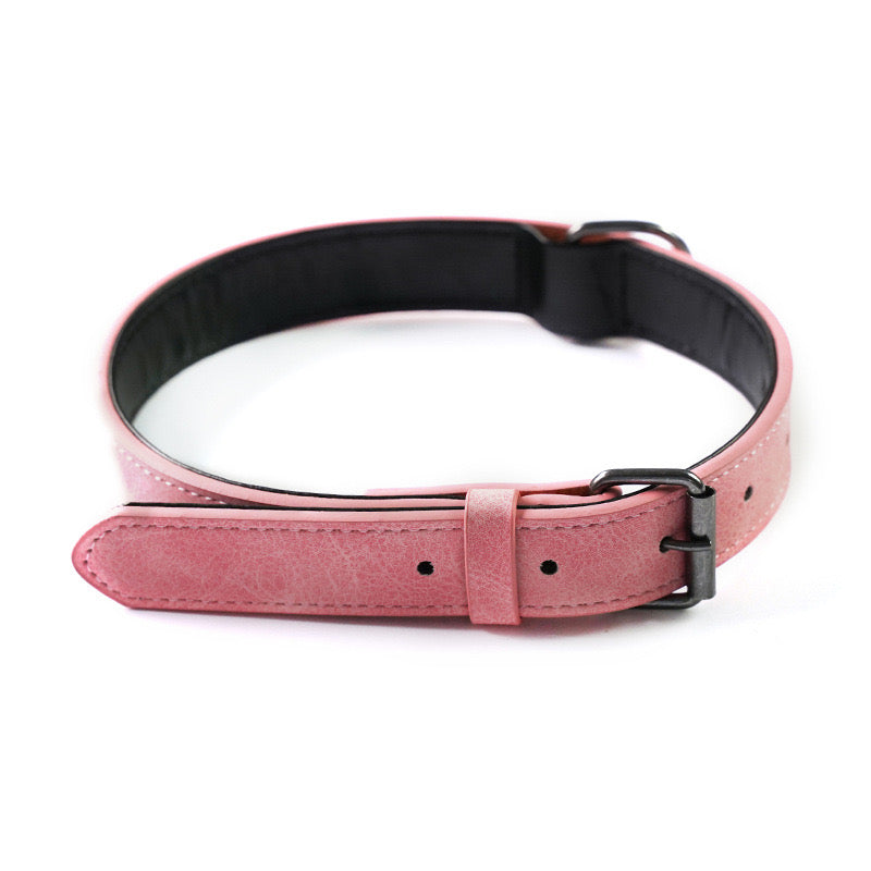 Foba Paws｜PINKY POWER-Soft Leather Paded Personalized Dog Collar with Name Plate Engraved - Foba Paws: Terrier Haven