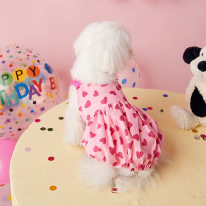 Foba Paws｜LOVE IS LOVE- Pet Pink Power LGBTQ Barbie Summer Dress - Foba Paws: Terrier Haven