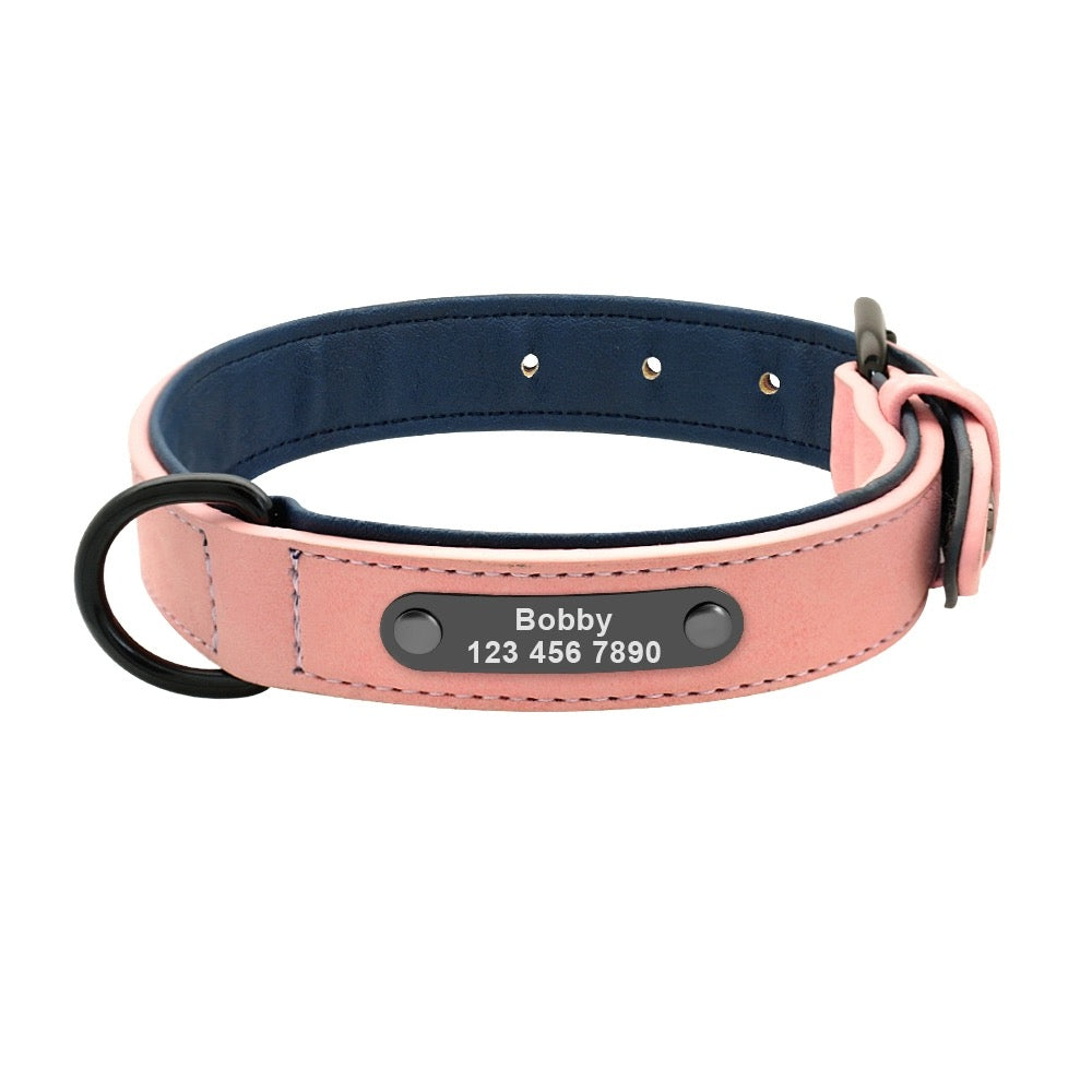 Foba Paws｜PINKY POWER-Soft Leather Paded Personalized Dog Collar with Name Plate Engraved - Foba Paws: Terrier Haven