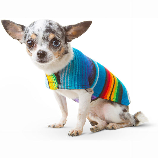 Foba Paws | Rainbow Q-Indian handmade rainbow pet cape - Foba Paws: Terrier Haven