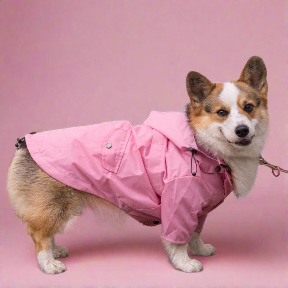 Foba Paws｜Pinky Power Trendy Raincoat for Pet - Foba Paws: Terrier Haven