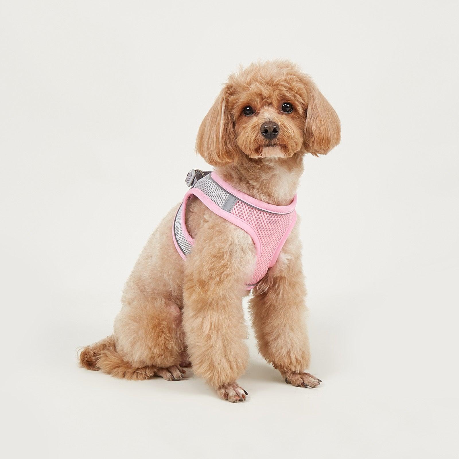 Foba Paws | Terrier Puppy Mesh Harness for breathability - Foba Paws: Terrier Haven